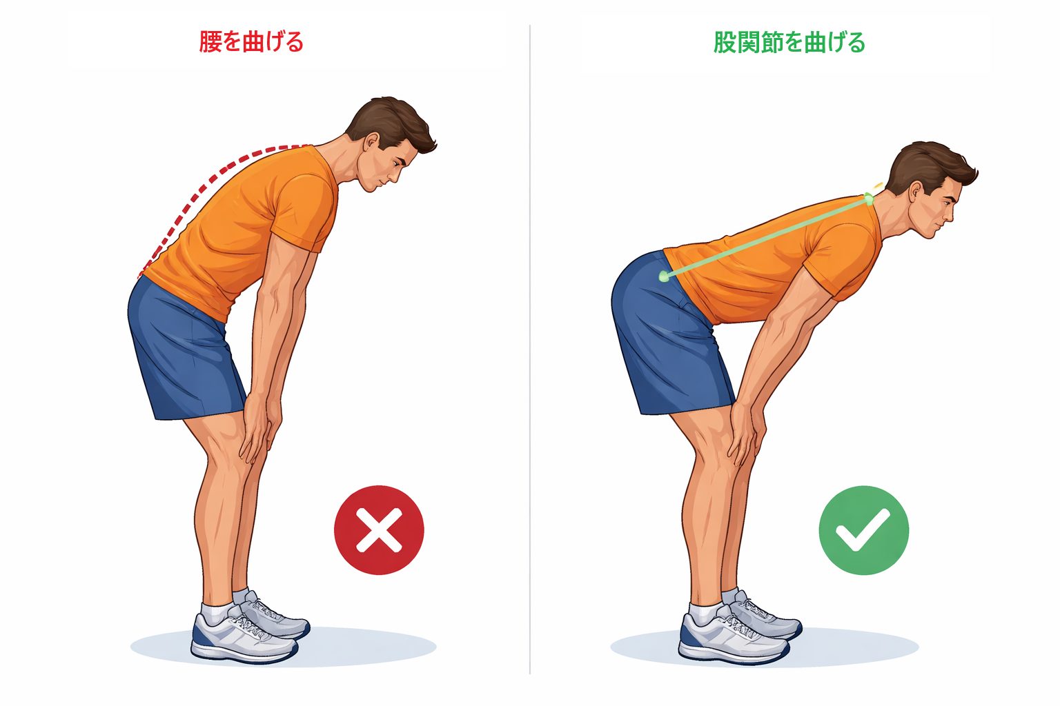 腰を曲げる股関節を曲げる違い