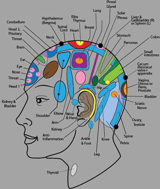 頭の反射区
