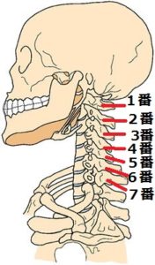 頚椎