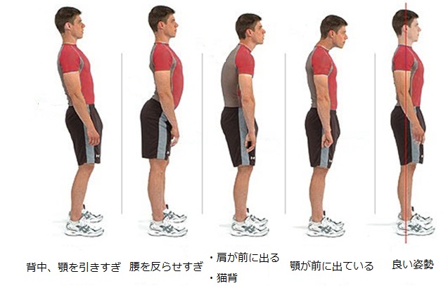 姿勢の種類